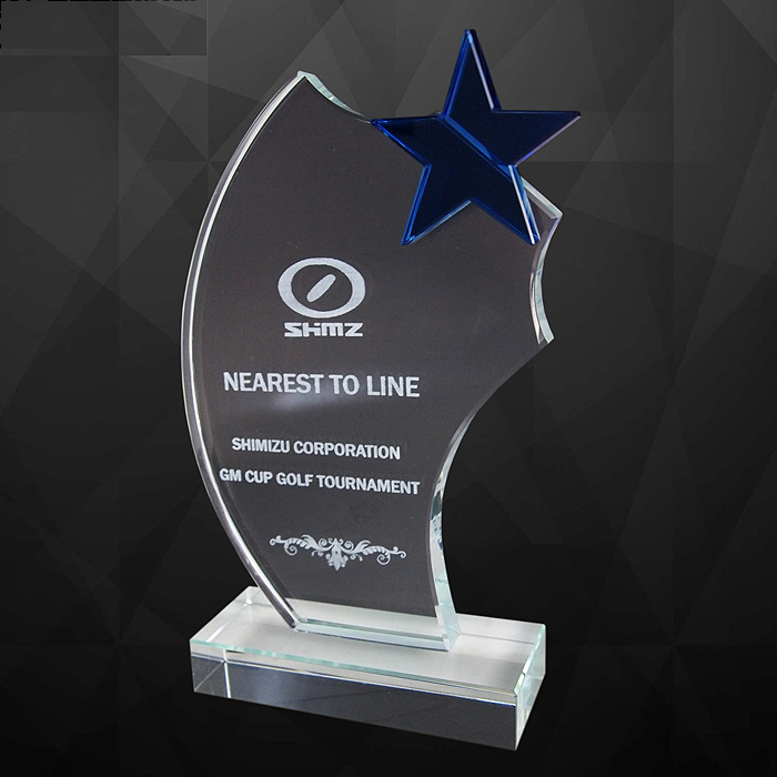 9128 - Exclusive Crystal Star Award