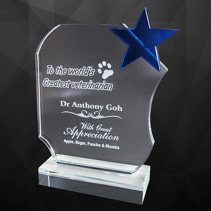 9129 - Exclusive Crystal Star Award