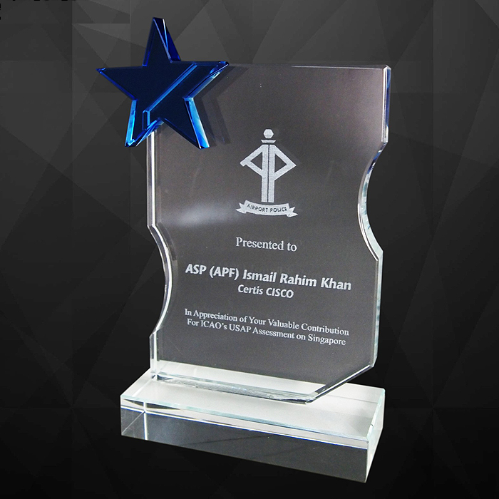 9130 - Exclusive Crystal Star Award