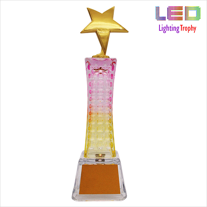8301 - LED Lighting Trophy (Star)