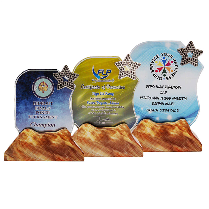 8315 - Colour Crystal Awards