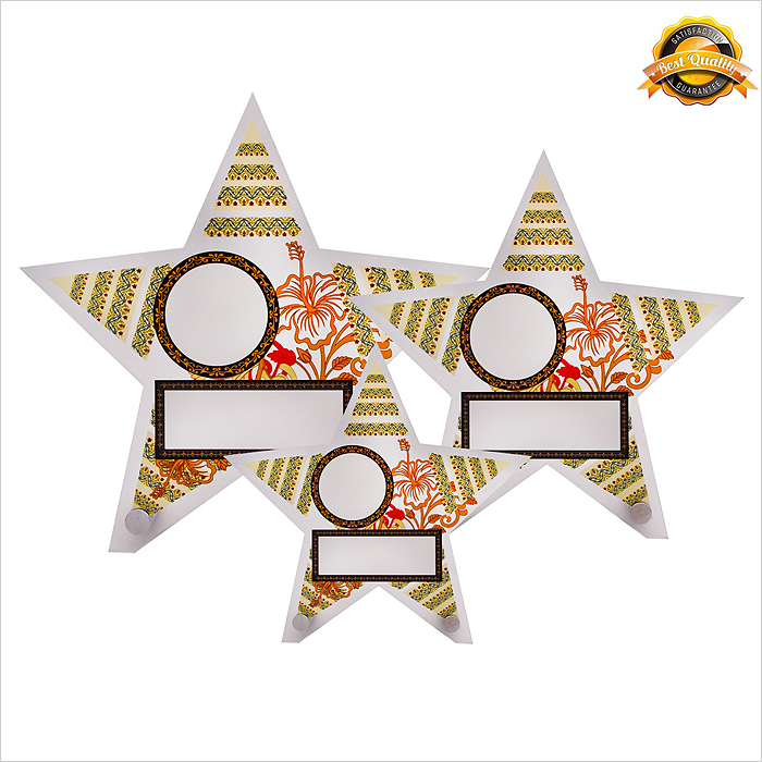 4262 - Acrylic Plaque (Star)