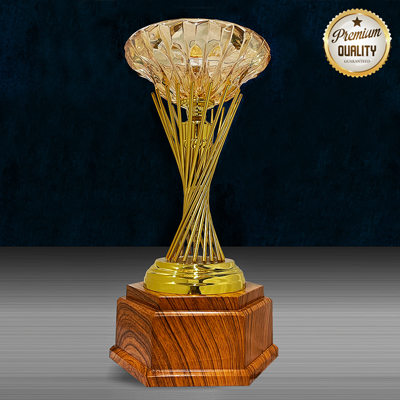 WS6213 - Exclusive White Silver Trophy