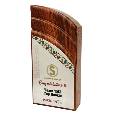 7438 - Modern Wooden Plaque