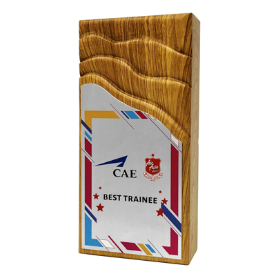 7439 - Modern Wooden Plaque