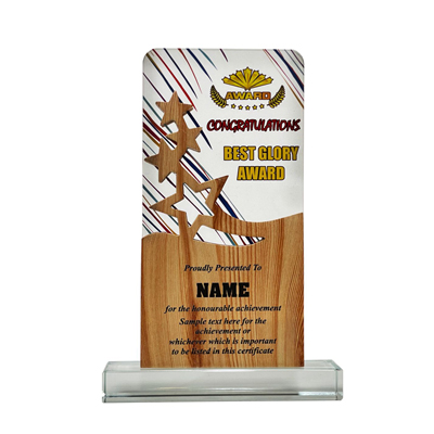 5101 - Acrylic Plaque