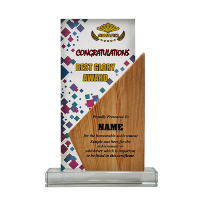 5102 - Acrylic Plaque