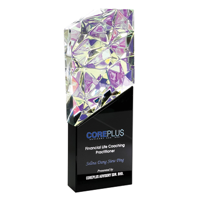 3129 - Exclusive Crystal Plaque