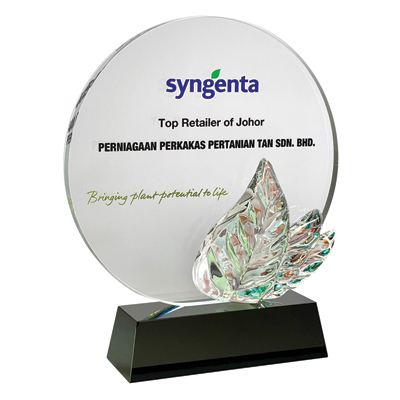 3130 - Exclusive Crystal Plaque