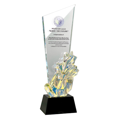 3139 - Exclusive Crystal Plaque