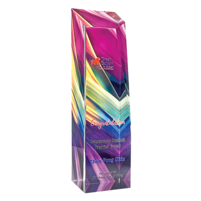 1029 - Square Honor Award