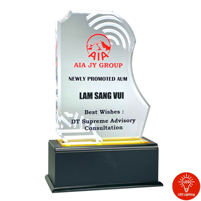 5176 - Acrylic Plaque