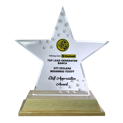 5181 - Acrylic Plaque