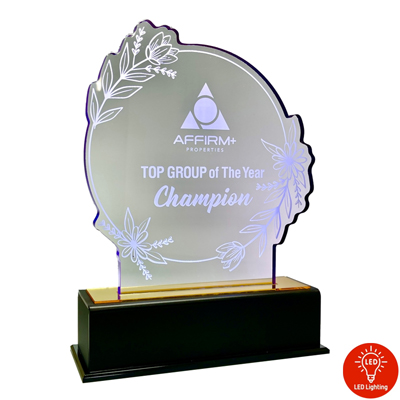 5199 - Acrylic Plaque