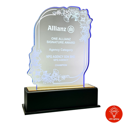 5203 - Acrylic Plaque