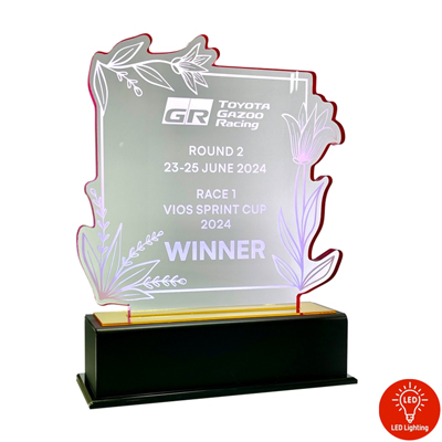 5204 - Acrylic Plaque