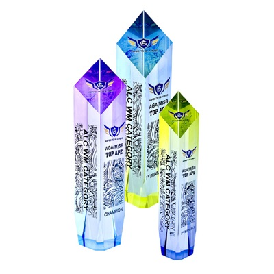 1067 - Acrylic Award