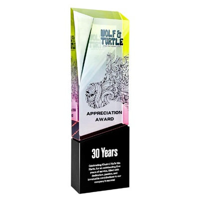 1071 - Acrylic Award