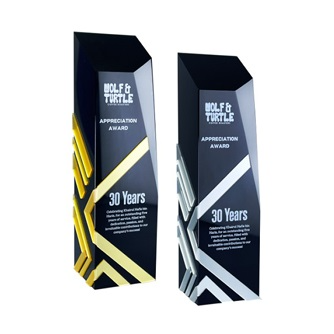 1099 - Acrylic Award