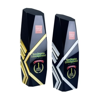 1101 - Acrylic Award