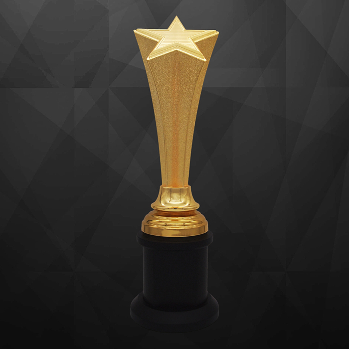 9270 - Exclusive Sculptures Awards (Star)