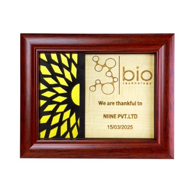 7728 - Wooden Frame Award