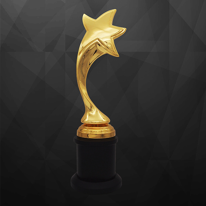 9273 - Exclusive Sculptures Awards (Star)