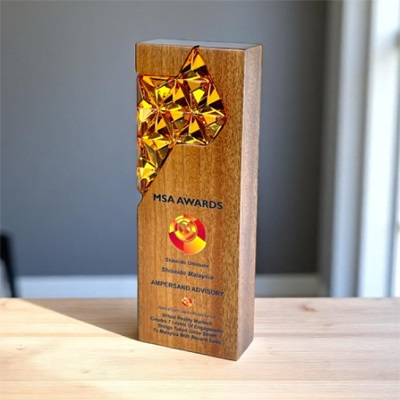 7693 - Wooden Plaque & Trophy