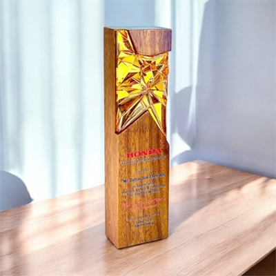 7692 - Wooden Plaque & Trophy