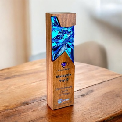 7691 - Wooden Plaque & Trophy