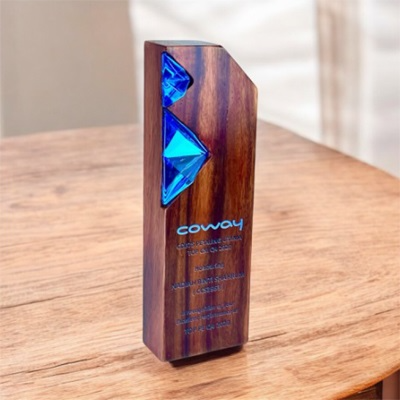 7688 - Wooden Plaque & Trophy