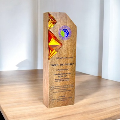 7687 - Wooden Plaque & Trophy