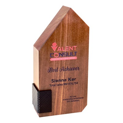 7679 - Wooden Plaque & Trophy