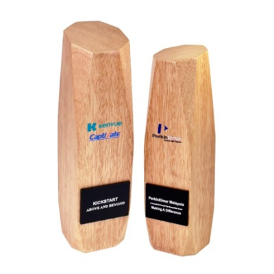 7676 - Wooden Plaque & Trophy