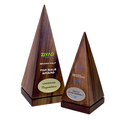 7668 - Wooden Plaque & Trophy