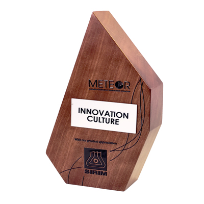 7666 - Wooden Plaque & Trophy