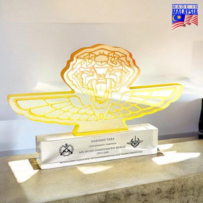 5278 - Innovative Design Acrylic Award