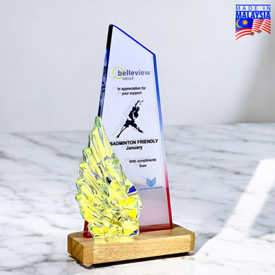 5273 - Innovative Design Acrylic Award