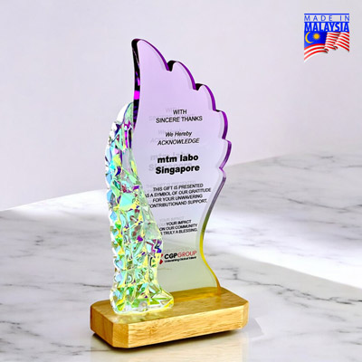 5271 - Innovative Design Acrylic Award