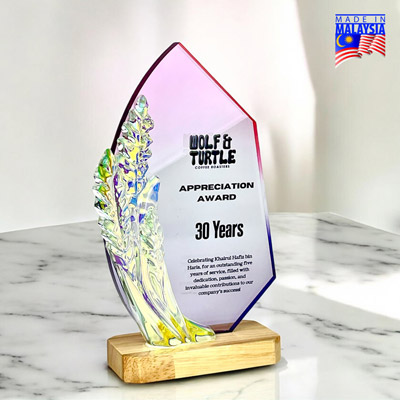 5270 - Innovative Design Acrylic Award