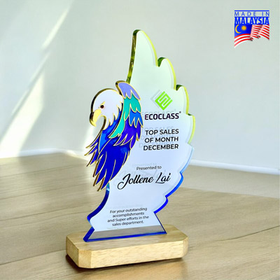 5254 - Innovative Design Acrylic Award