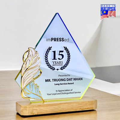 5253 - Innovative Design Acrylic Award