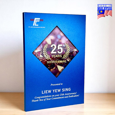 5244 - Innovative Design Acrylic Award