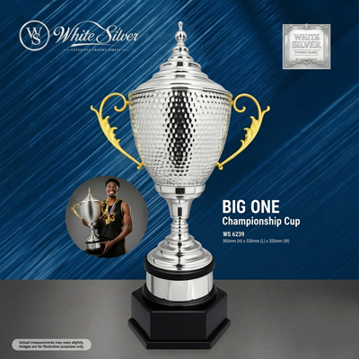 WS6239 - White Silver Trophy