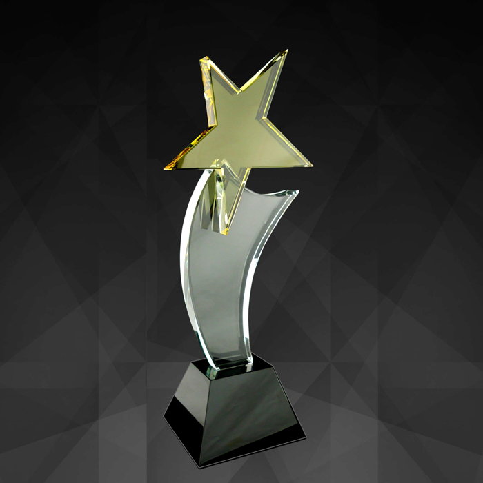 9057 - Exclusive Crystal Star Award
