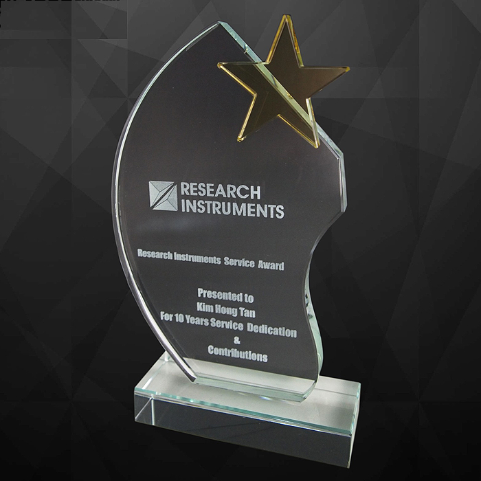 9127 - Exclusive Crystal Star Award